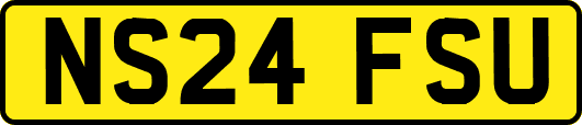 NS24FSU