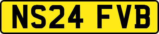 NS24FVB