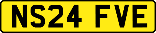 NS24FVE