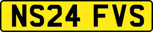NS24FVS