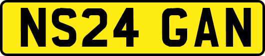 NS24GAN