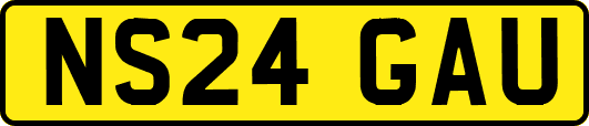 NS24GAU