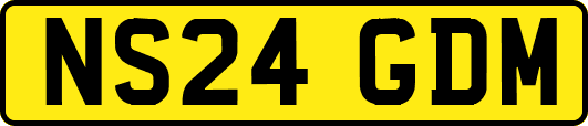 NS24GDM