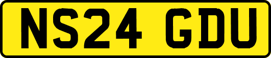 NS24GDU