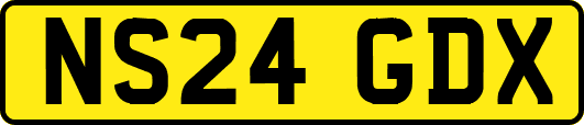 NS24GDX