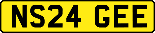 NS24GEE