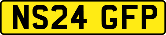 NS24GFP