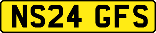 NS24GFS