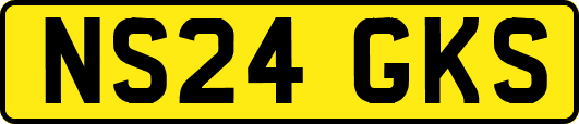 NS24GKS