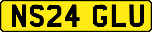NS24GLU