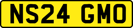 NS24GMO