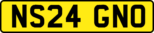 NS24GNO