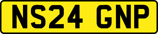 NS24GNP
