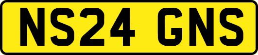 NS24GNS