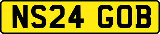 NS24GOB