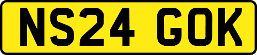 NS24GOK