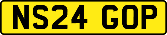 NS24GOP