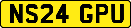 NS24GPU