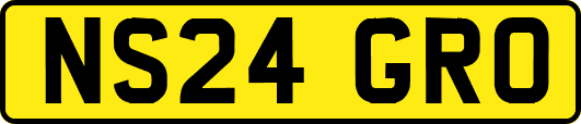 NS24GRO