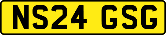 NS24GSG