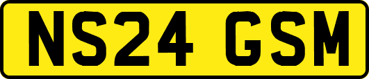 NS24GSM