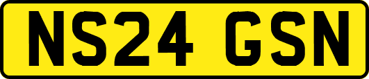 NS24GSN