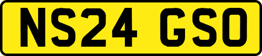 NS24GSO