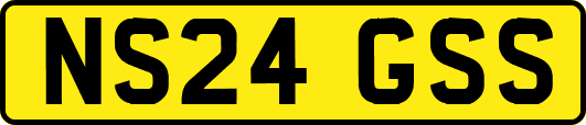 NS24GSS