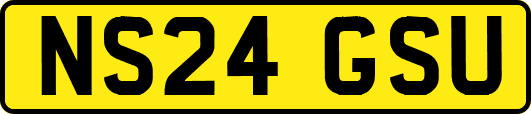 NS24GSU