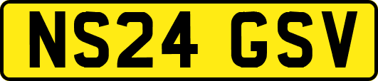 NS24GSV