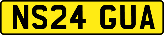 NS24GUA
