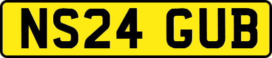 NS24GUB