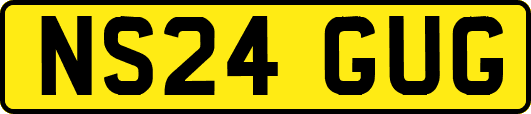NS24GUG
