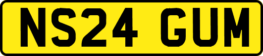 NS24GUM