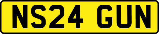NS24GUN
