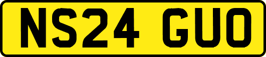 NS24GUO