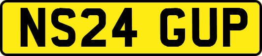 NS24GUP