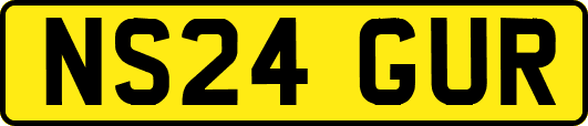 NS24GUR