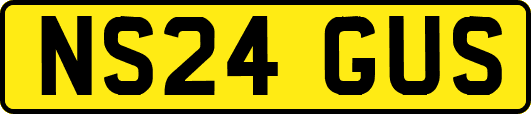 NS24GUS