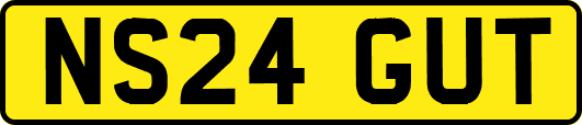 NS24GUT