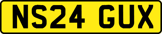NS24GUX