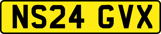 NS24GVX