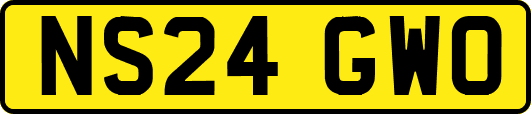 NS24GWO
