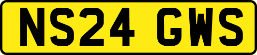 NS24GWS