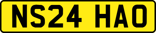NS24HAO