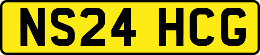 NS24HCG