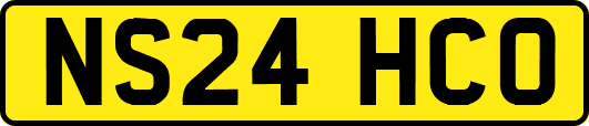 NS24HCO