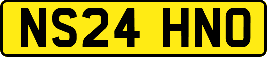 NS24HNO