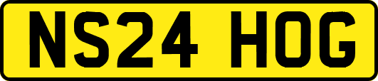 NS24HOG