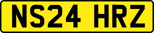 NS24HRZ